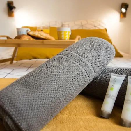 Mon Loft Niortais - Le Petit Roc Apartment Niort
